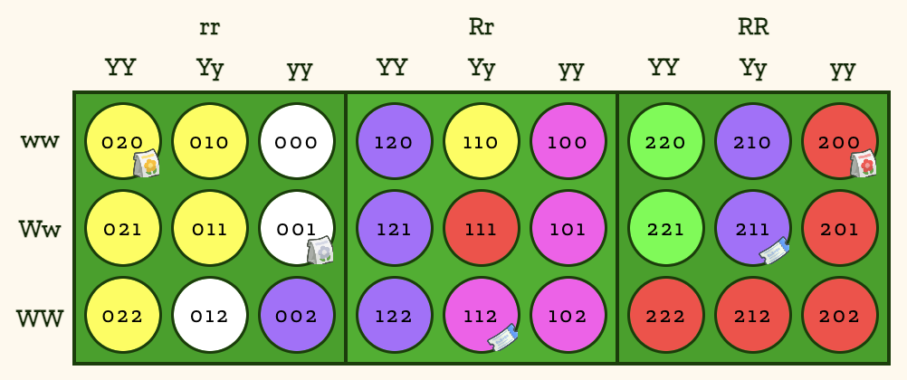 ACNH Genotype Diagram